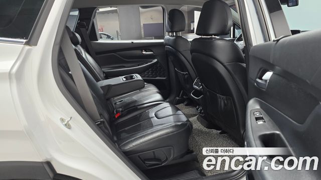 Hyundai Santa Fe (TM) Diesel 2,0 4WD Exclusive Special 2019 — фото 11