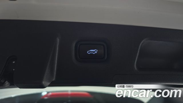 Hyundai Santa Fe (TM) Diesel 2,0 4WD Exclusive Special 2019 — фото 20