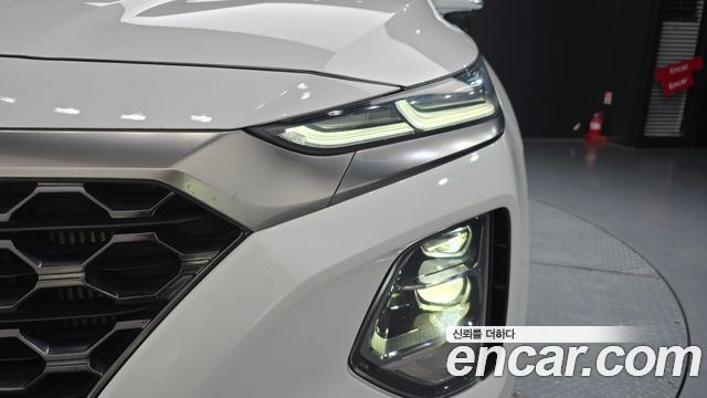 Hyundai Santa Fe (TM) Diesel 2,0 4WD Exclusive Special 2019 — фото 22