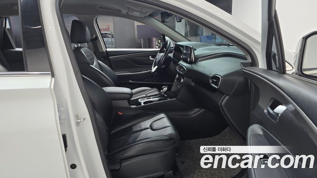 Hyundai Santa Fe (TM) Diesel 2,0 4WD Exclusive Special 2019 — фото 26