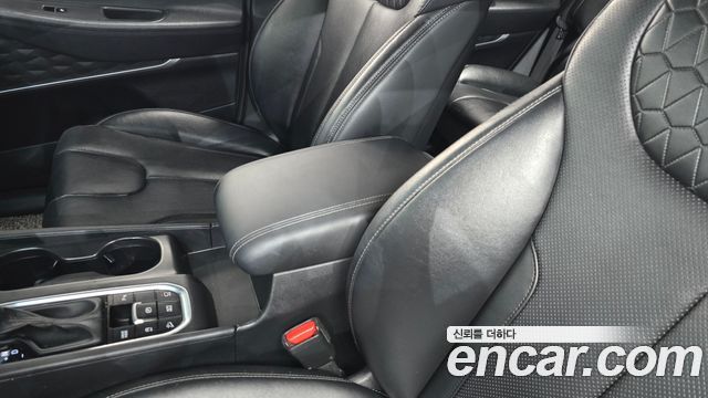 Hyundai Santa Fe (TM) Diesel 2,0 4WD Exclusive Special 2019 — фото 30