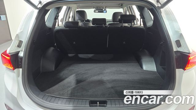 Hyundai Santa Fe (TM) Diesel 2,0 4WD Exclusive Special 2019 — фото 31