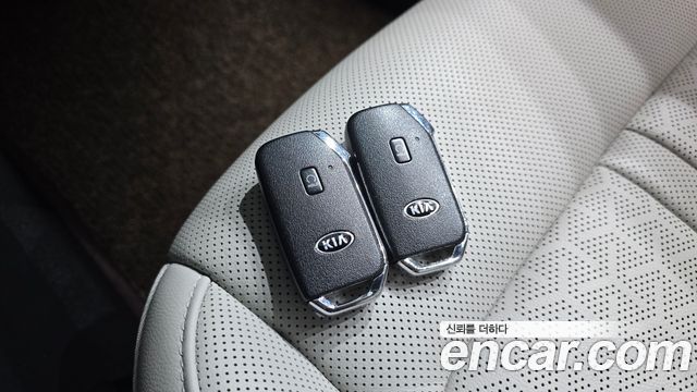 Kia Sorento (IV) HEV 1.6 2WD Noblesse 2021 — фото 17