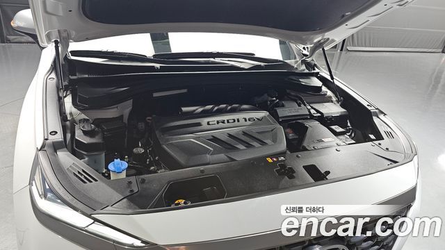 Hyundai Santa Fe (TM) Diesel 2.2 2WD Inspiraition 2019 — фото 6