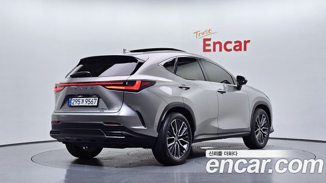 Lexus NX350h (II) Luxury 2025 — фото 2