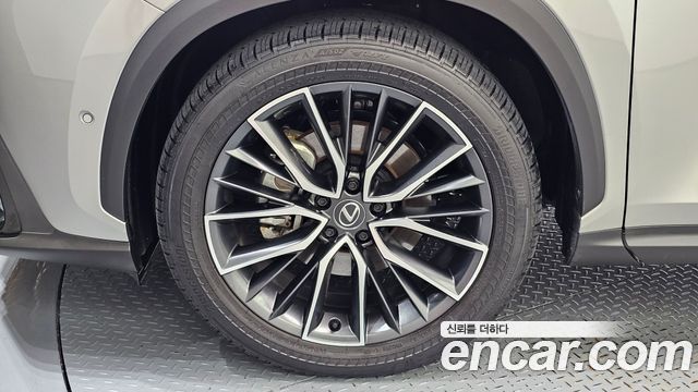 Lexus NX350h (II) Luxury 2025 — фото 5