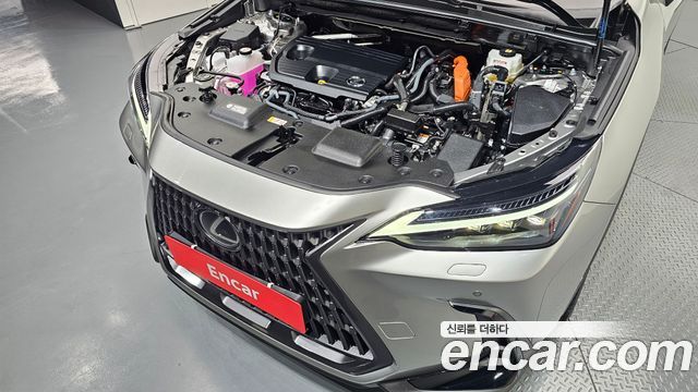 Lexus NX350h (II) Luxury 2025 — фото 6