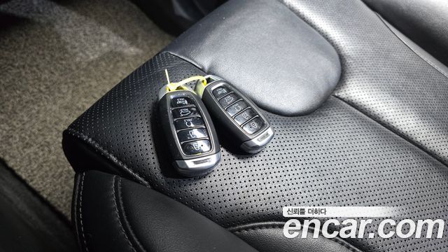 Hyundai Santa Fe (TM) Diesel 2.0 2WD Premium 2020 — фото 15