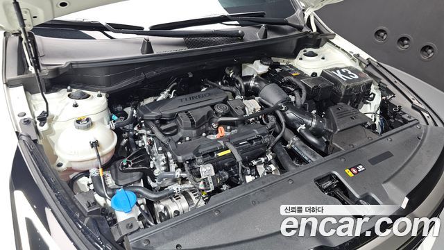 Kia Sportage (V) Gasoline 1.6 Turbo 2WD Signature 2025 — фото 6