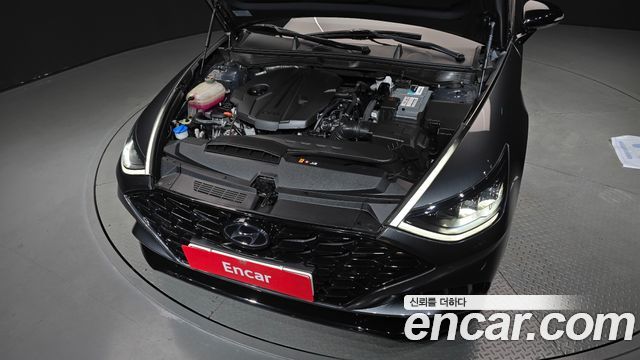 Hyundai Sonata (DN8) 2.0 Premium Plus 2022 — фото 6