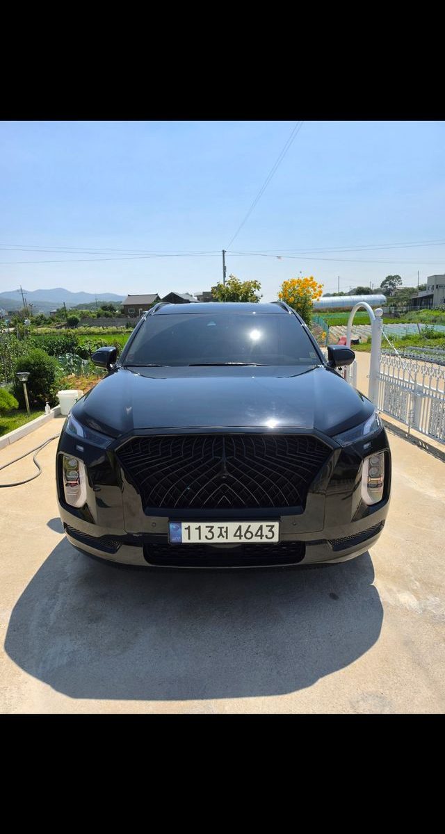 Hyundai Palisade Gasoline 3.8 2WD Calligraphy