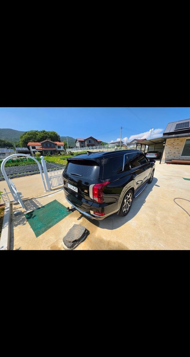 Hyundai Palisade Gasoline 3.8 2WD Calligraphy 2021 — фото 6