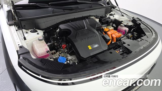 Hyundai Kona Hybrid (SX2) Premium 2023 — фото 6