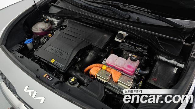 Kia Niro 1.6 HEV Trendy 2022 — фото 6