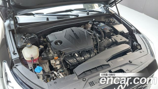 Kia K8 2.5 Gasoline 2WD Noblesse 2022 — фото 6