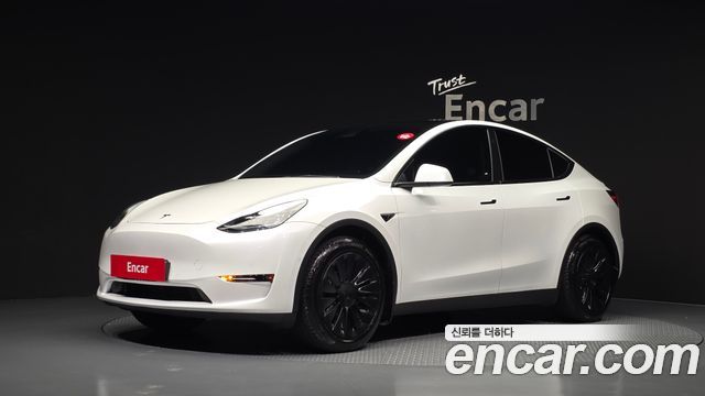 Tesla Model Y Standard Range RWD 2021 — фото 1