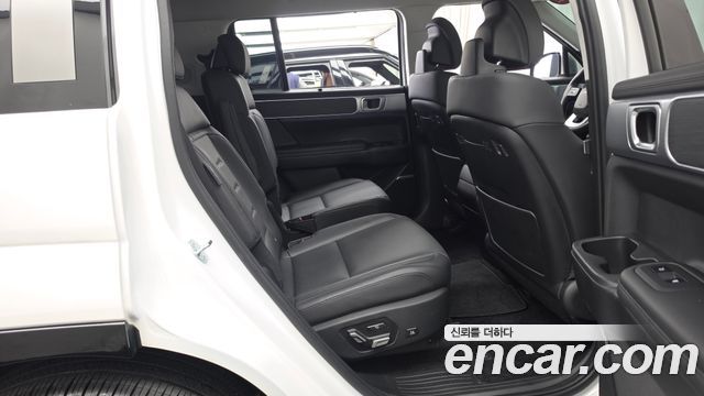 Hyundai Santa Fe (MX5) Gasoline 2.5T 4WD Calligraphy 2024 — фото 12