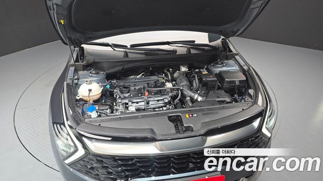 Kia Sportage (V) Gasoline 1.6 Turbo 2WD Trendy 2022 — фото 6