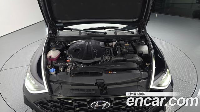 Hyundai Sonata (DN8) 2.0 Premium Plus 2023 — фото 6