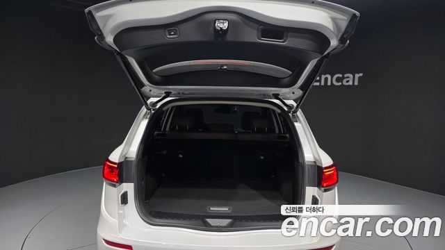 Renault Korea QM6 2.0 GDe RE Signature 2WD 2021 — фото 20