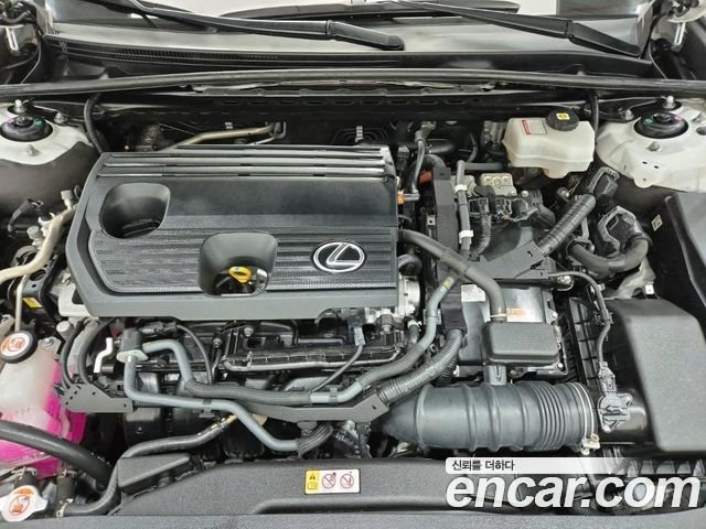 Lexus ES300h (VII) Luxury 2023 — фото 22