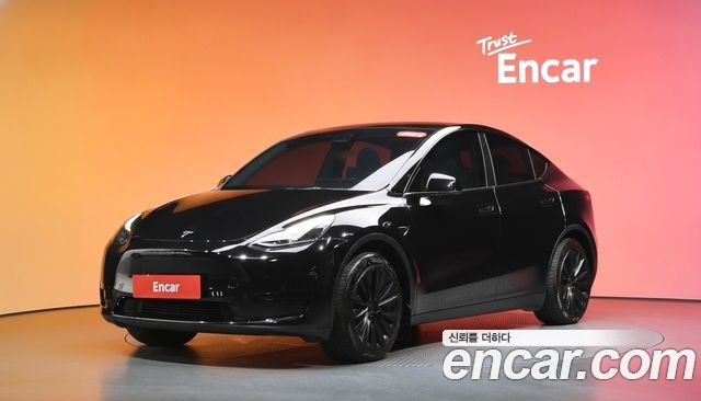 Tesla Model Y RWD