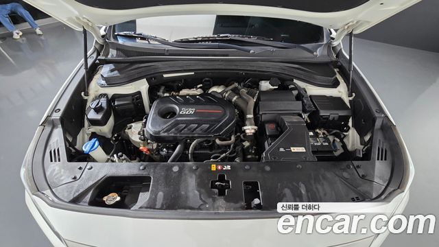Hyundai Santa Fe (TM) Gasoline 2.0T 2WD Exclusive Special 2019 — фото 6