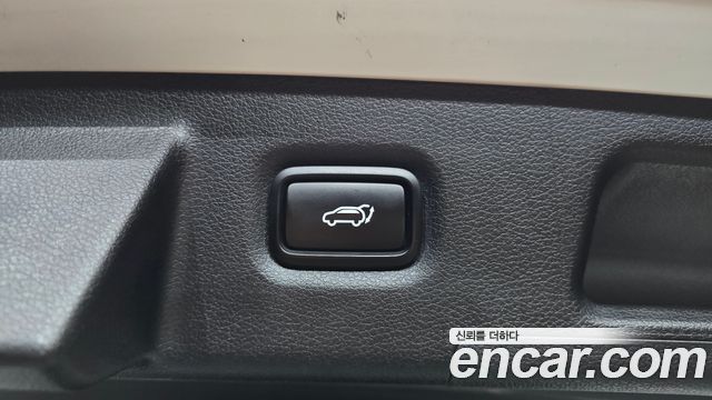 Hyundai Santa Fe (TM) Gasoline 2.0T 2WD Exclusive Special 2019 — фото 18