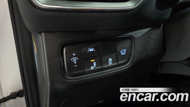 Hyundai Santa Fe (TM) Gasoline 2.0T 2WD Exclusive Special 2019 — фото 30