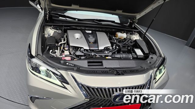 Lexus ES300h (VII) Luxury Plus 2019 — фото 6