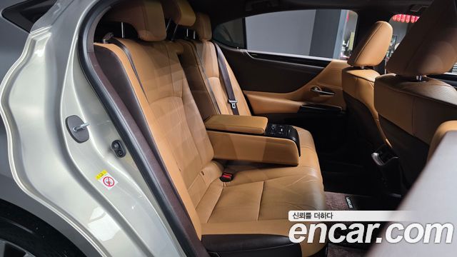 Lexus ES300h (VII) Luxury Plus 2019 — фото 12