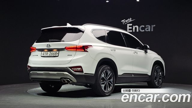 Hyundai Santa Fe (TM) Diesel 2.0 2WD Exclusive Special 2019 — фото 2