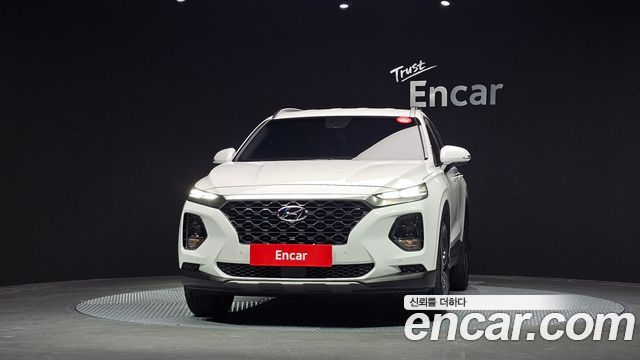 Hyundai Santa Fe (TM) Diesel 2.0 2WD Exclusive Special 2019 — фото 3