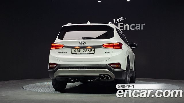 Hyundai Santa Fe (TM) Diesel 2.0 2WD Exclusive Special 2019 — фото 4