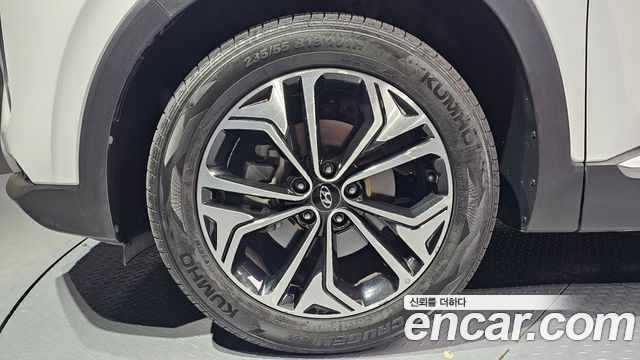 Hyundai Santa Fe (TM) Diesel 2.0 2WD Exclusive Special 2019 — фото 5
