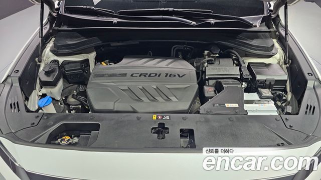 Hyundai Santa Fe (TM) Diesel 2.0 2WD Exclusive Special 2019 — фото 6