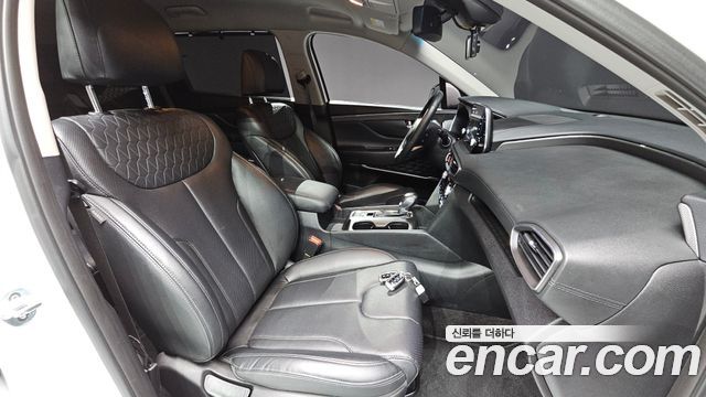 Hyundai Santa Fe (TM) Diesel 2.0 2WD Exclusive Special 2019 — фото 10
