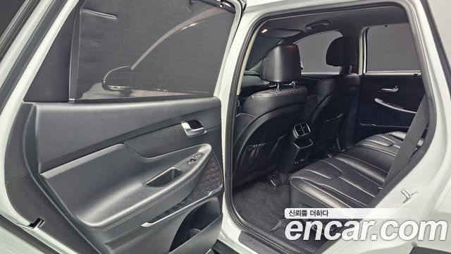 Hyundai Santa Fe (TM) Diesel 2.0 2WD Exclusive Special 2019 — фото 17