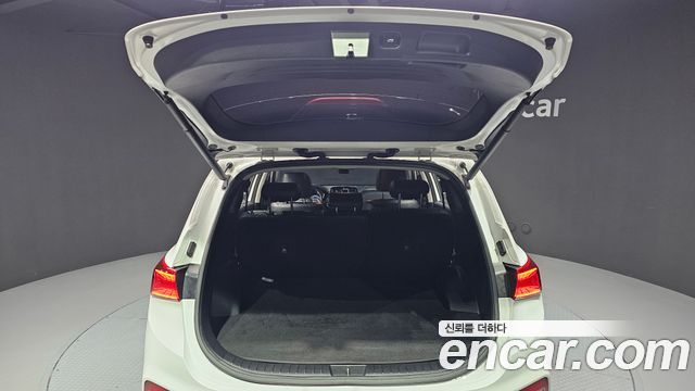 Hyundai Santa Fe (TM) Diesel 2.0 2WD Exclusive Special 2019 — фото 20