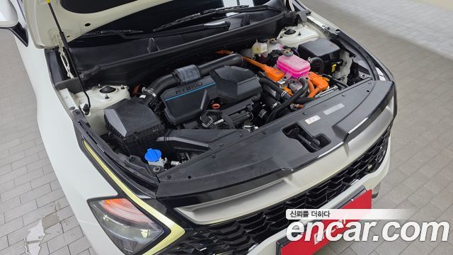 Kia Sportage Hybrid (V) Nobleless 2WD 2023 — фото 6