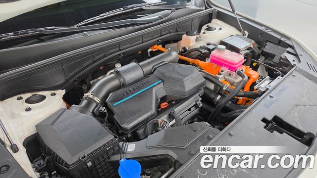 Kia Sorento (IV) HEV 1.6 4WD Noblesse 2023 — фото 6