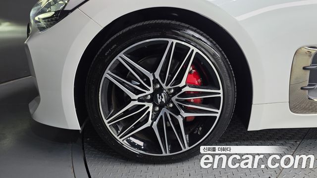 Kia Stinger Meister 2.5 Platinum 2021 — фото 5
