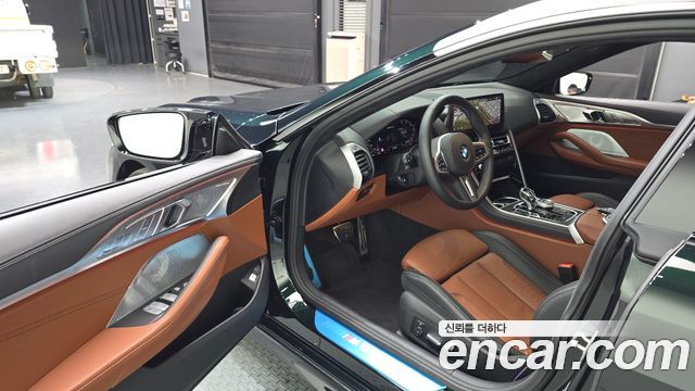 BMW 8 Series (G15) M850i xDrive Gran Coupe Individual Edition 2026 — фото 10