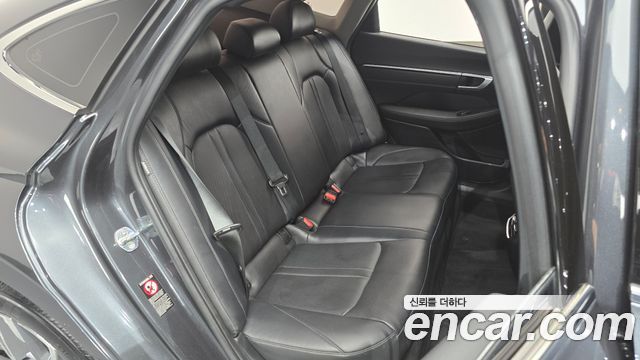 Hyundai Sonata (DN8) 2.0 Premium Plus 2022 — фото 15