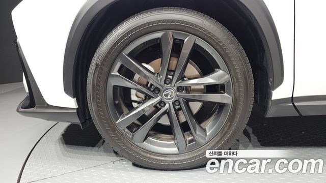 Lexus NX350h (II) Premium 2025 — фото 5