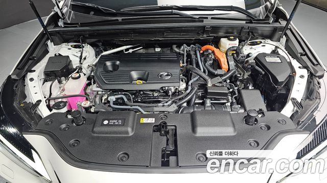 Lexus NX350h (II) Premium 2025 — фото 6