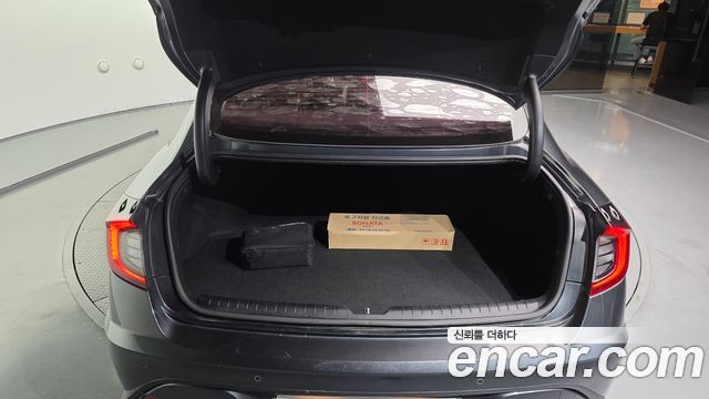 Hyundai Sonata (DN8) 2.0 LPG(rental car) Smart 2020 — фото 20