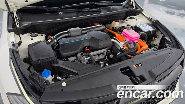 Kia Sportage Hybrid (V) 30Th Edition 2WD 2024 — фото 6