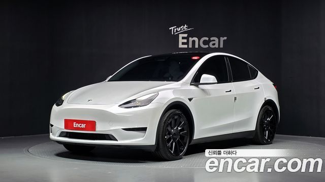 Tesla Model Y RWD