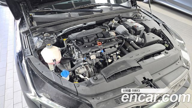 Kia K5 (III) 1.6 Turbo Noblesse 2023 — фото 6